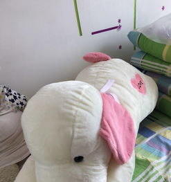 图 全新的毛绒玩具,表白神器 天津二手母婴儿童用品